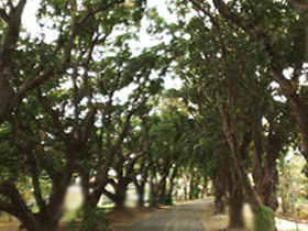 Eimeo QLD ACT Tourism