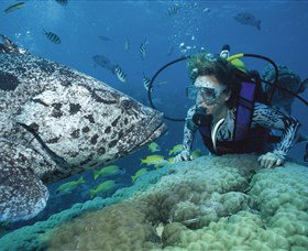 Pelorus Island - ACT Tourism 0