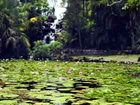 Queens Park Waterfall - ACT Tourism 0