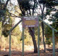 Carroll Nature Reserve Kokoda Track - ACT Tourism