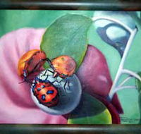 Kingaroy Shire Art Gallery - ACT Tourism