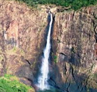 Buujan Quiinbiira Walk Wet Tropics Great Walk - ACT Tourism