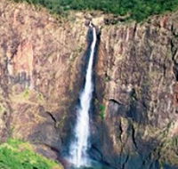 Gugigugi Butterfly Walk Wet Tropics Great Walk - ACT Tourism