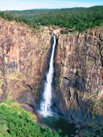 Gugigugi (Butterfly) Walk, Wet Tropics Great Walk - ACT Tourism 0