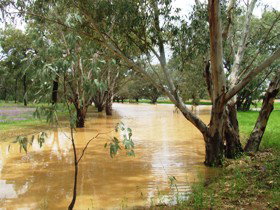 Saddliers Waterhole And Hamburg Creek - ACT Tourism 0