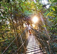 Tree Top Walkway - ACT Tourism