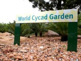 Anderson Park Botanic Gardens - ACT Tourism 0