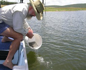 Eungella Dam - ACT Tourism 0