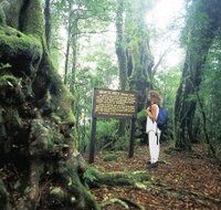 Tooloona Creek circuit - ACT Tourism