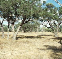 Forest Den National Park - ACT Tourism
