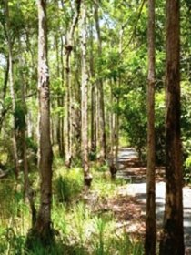 Hallorans Hill - ACT Tourism 0