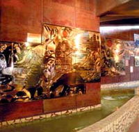 Riversleigh Fossil Centre - ACT Tourism