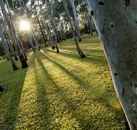Tondoon Botanic Gardens - ACT Tourism