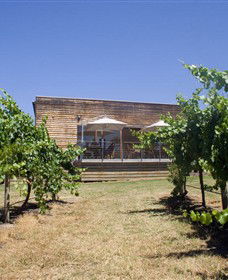 Shantell Vineyard - ACT Tourism 0