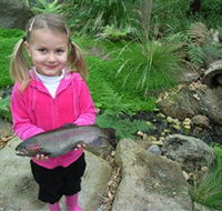Wild Food Farm  Cafe - ACT Tourism