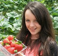 Yarra Valley Gateway Estate - ACT Tourism