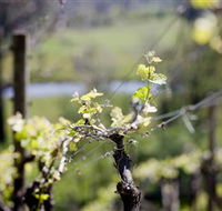 Downing Estate - ACT Tourism