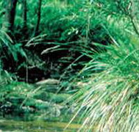 Lerderderg State Park - ACT Tourism