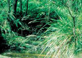 Lerderderg State Park - ACT Tourism 0
