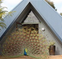 Halls Gap Zoo - ACT Tourism