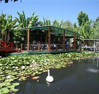 Blue Lotus Water Garden - ACT Tourism
