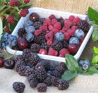 Bright Berry Farms - ACT Tourism