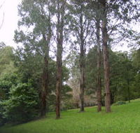 Mount Dandenong Arboretum - ACT Tourism