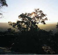 Yarra Flats - ACT Tourism