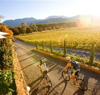 Boyntons Feathertop Winery - ACT Tourism