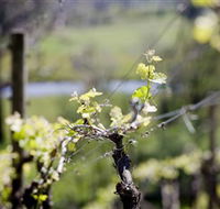 Norton Estate Wines - ACT Tourism