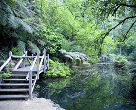 Alfred Nicholas Gardens - ACT Tourism 0