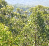Bunyip State Park - ACT Tourism
