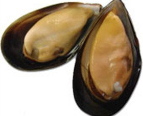 Sea Bounty - ACT Tourism 0