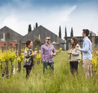 Willow Creek Vineyard - ACT Tourism