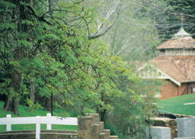 Hepburn Regional Park - ACT Tourism 0