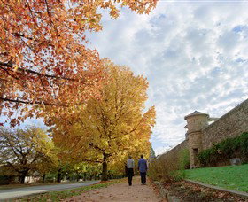 Beechworth Historic Park - ACT Tourism 0
