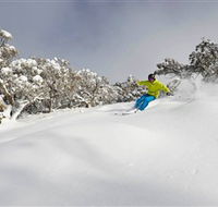 Mt Buller and Mt Stirling Alpine Resort - ACT Tourism