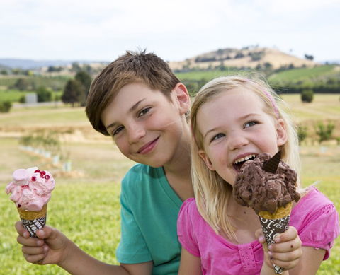 Yarra Valley Chocolaterie & Ice Creamery - ACT Tourism 6
