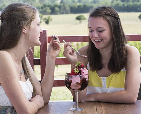 Yarra Valley Chocolaterie & Ice Creamery - ACT Tourism 8