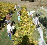 Blakes Estate Winery - ACT Tourism