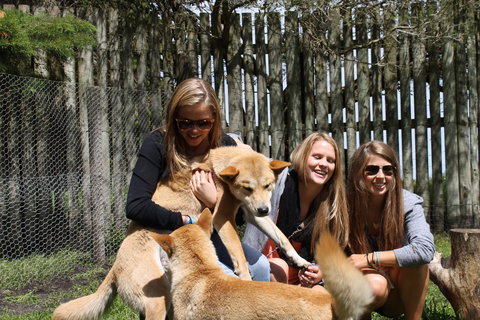 Great Ocean Road Wildlife Park - ACT Tourism 3