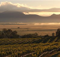 Montara Wines - ACT Tourism