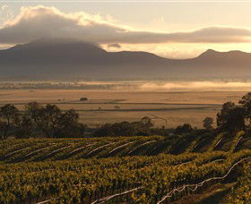 Montara Wines - ACT Tourism 0