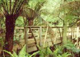 Mount Worth State Park - ACT Tourism 0