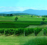 Acacia Ridge Vineyard - ACT Tourism
