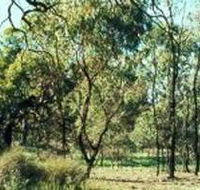 Leaghur State Park - ACT Tourism