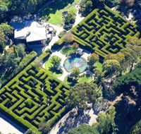 Ashcombe Maze  Lavender Gardens - ACT Tourism