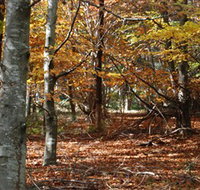 RJ Hamer Arboretum - ACT Tourism