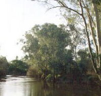 Banksia Park - ACT Tourism