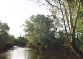 Banksia Park - ACT Tourism 0